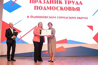 Награждение лучших профессионалов округа
