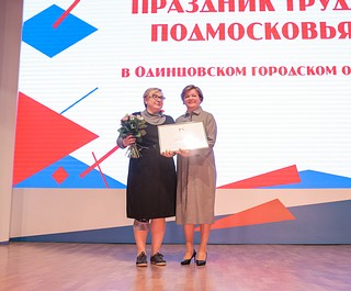 Награждение лучших профессионалов округа