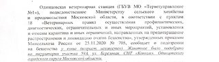 Ветеринарные правила (часть 1)
