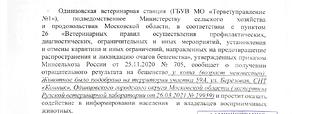 Ветеринарные правила (часть 2)