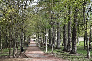 Городской парк