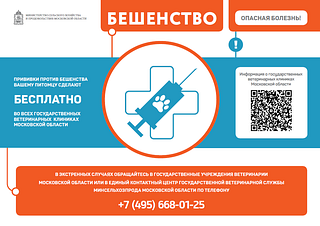 Одинцовская ветеринарная станция информирует о возникшем подозрении на заболевание животного бешенством