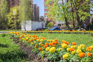 Цветочное оформление