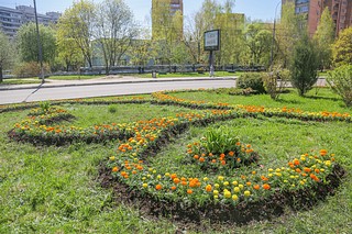 Клумбы в центральной части города