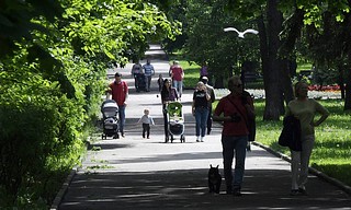 Приняты социальные поправки «Единой России» по итогам Послания Президента