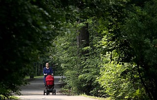 Пенсионный фонд России начнет прием заявлений на пособия беременным и родителям-одиночкам с детьми от 8 до 16 лет