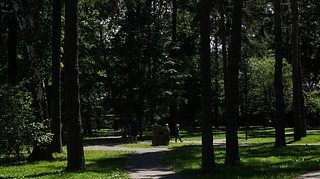 Лесопарковая территория