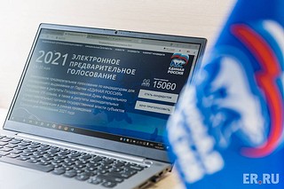 Предварительное голосование в Московской области