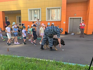 День кинолога отметили в Одинцовском округе
