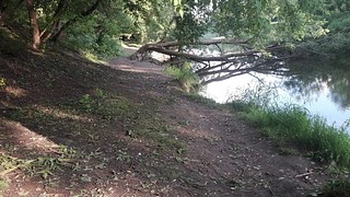Прибрежная зона Москвы-реки