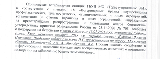 Одинцовская ветеринарная станция информирует о возникшем подозрении на заболевание животного бешенством