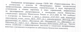 Одинцовская ветеринарная станция информирует о возникшем подозрении на заболевание животного бешенством