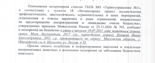 Одинцовская ветеринарная станция информирует о возникшем подозрении на заболевание животного бешенством
