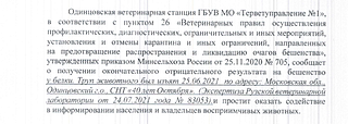 Одинцовская ветеринарная станция информирует об отрицательном результате на заболевание животного бешенством