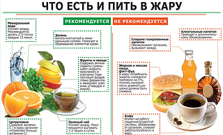 Что есть и пить в жару