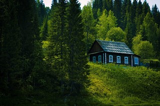 Сельский участок
