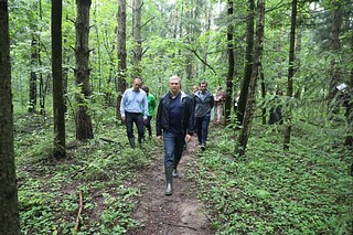 Осмотр территории лесного массива