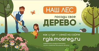 Посади своё дерево, баннер