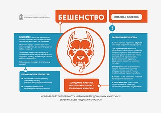 Листовка «Бешенство» (часть 2)