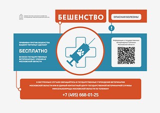 Листовка «Бешенство» (часть 1)