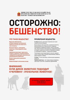 Листовка «Бешенство» (часть 3)