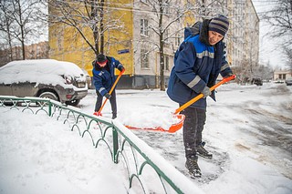 Дворники