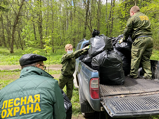 Одновременно в лесничестве проводились работы по воспроизводству лесов
