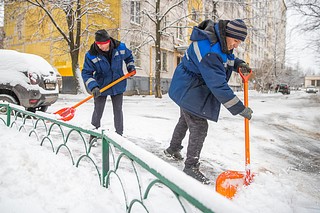 Дворники