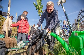 Посадка деревьев проходила в рамках акции «Наш лес. Посади своё дерево»