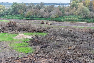 После завершения работ на берегу Москвы-реки в Звенигороде появится зона отдыха с развитым спортивным ядром