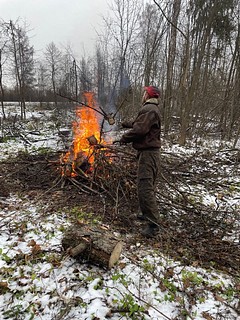 В лесах Одинцовского и Рузского городских округов продолжаются санитарно-оздоровительные мероприятия