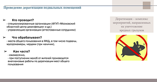 Подвальные помещения МКД в Одинцовском округе ежемесячно обрабатывают от крыс и мышей