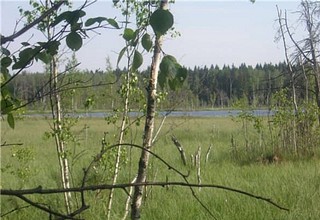 Природный заказник
