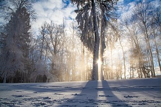 Зимний пейзаж