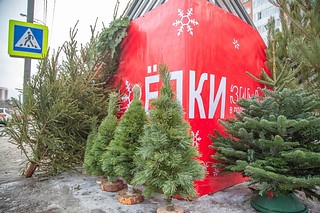 Елочный базар