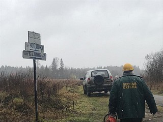 В границах Одинцовского и Рузского городских округов специалисты Звенигородского филиала ГКУ МО «Мособллес» расчистили 6 лесных дорог, убрав с подъездных путей к садоводческим товариществам 20 упавших деревьев