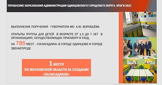 1 место за создание «Палисадиков»