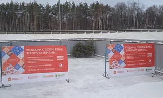 В Одинцовском округе действует 11 пунктов утилизации новогодних ёлок