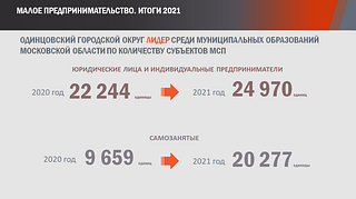Субъекты малого и среднего предпринимательства, слайд 1
