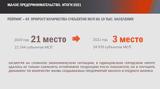 Субъекты малого и среднего предпринимательства, слайд 2