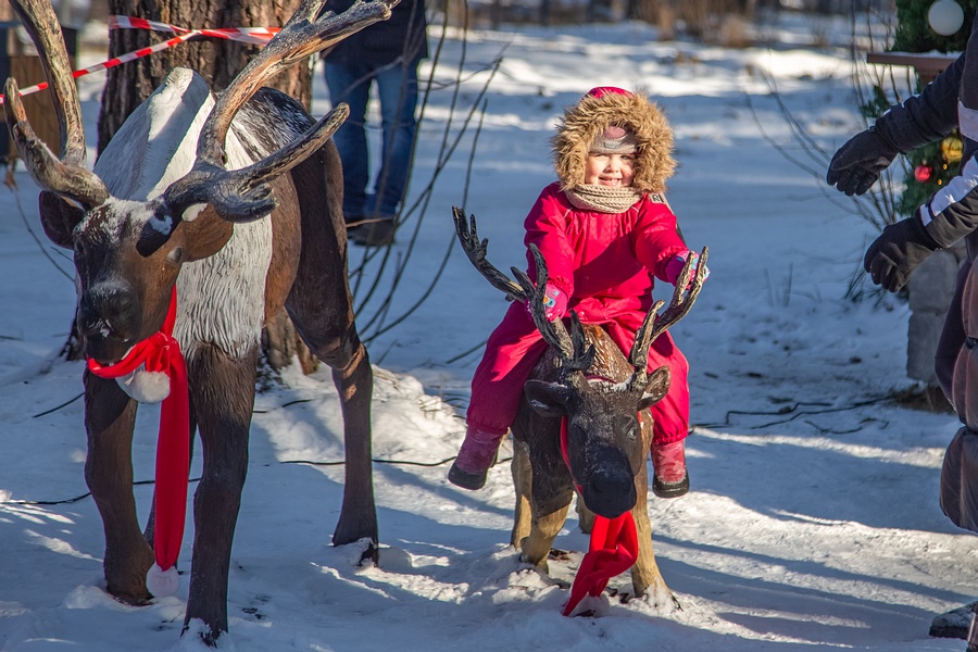 За неделю парки Московской области посетили более 710 тысяч человек, Январь