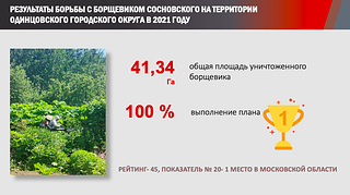 Результаты борьбы с борщевиком