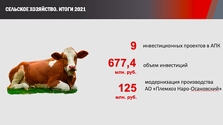Сельское хозяйство