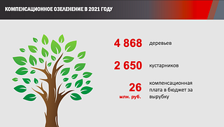 Компенсационное озеленение