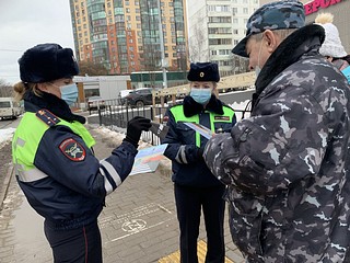 Сотрудники Госавтоинспекции общались с пешеходами на улицах города