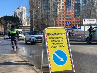В Одинцовском городском округе дорожные полицейские провели профилактический рейд «Детское кресло»