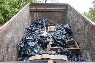 В 2022 году органы местного самоуправления получили полномочия по сбору мусора на лесных участках