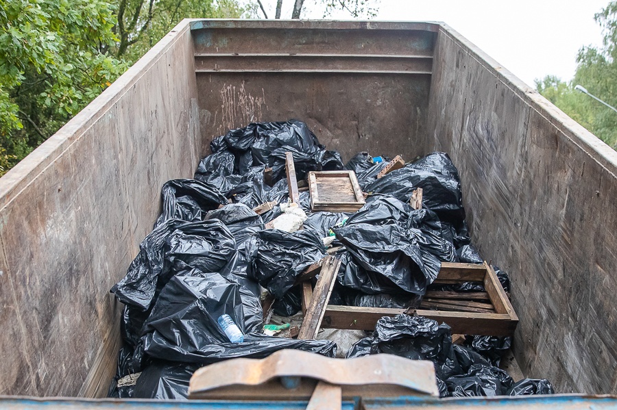В 2022 году органы местного самоуправления получили полномочия по сбору мусора на лесных участках, Март