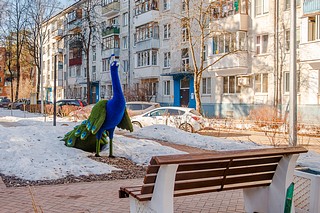 Благоустройство двора