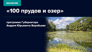 Экология, слайд 7